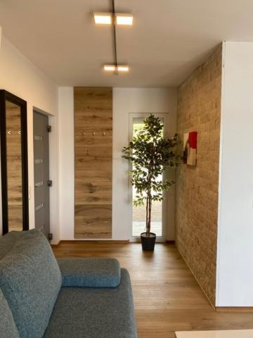 Villa Od Moore Starigrad Exterior foto